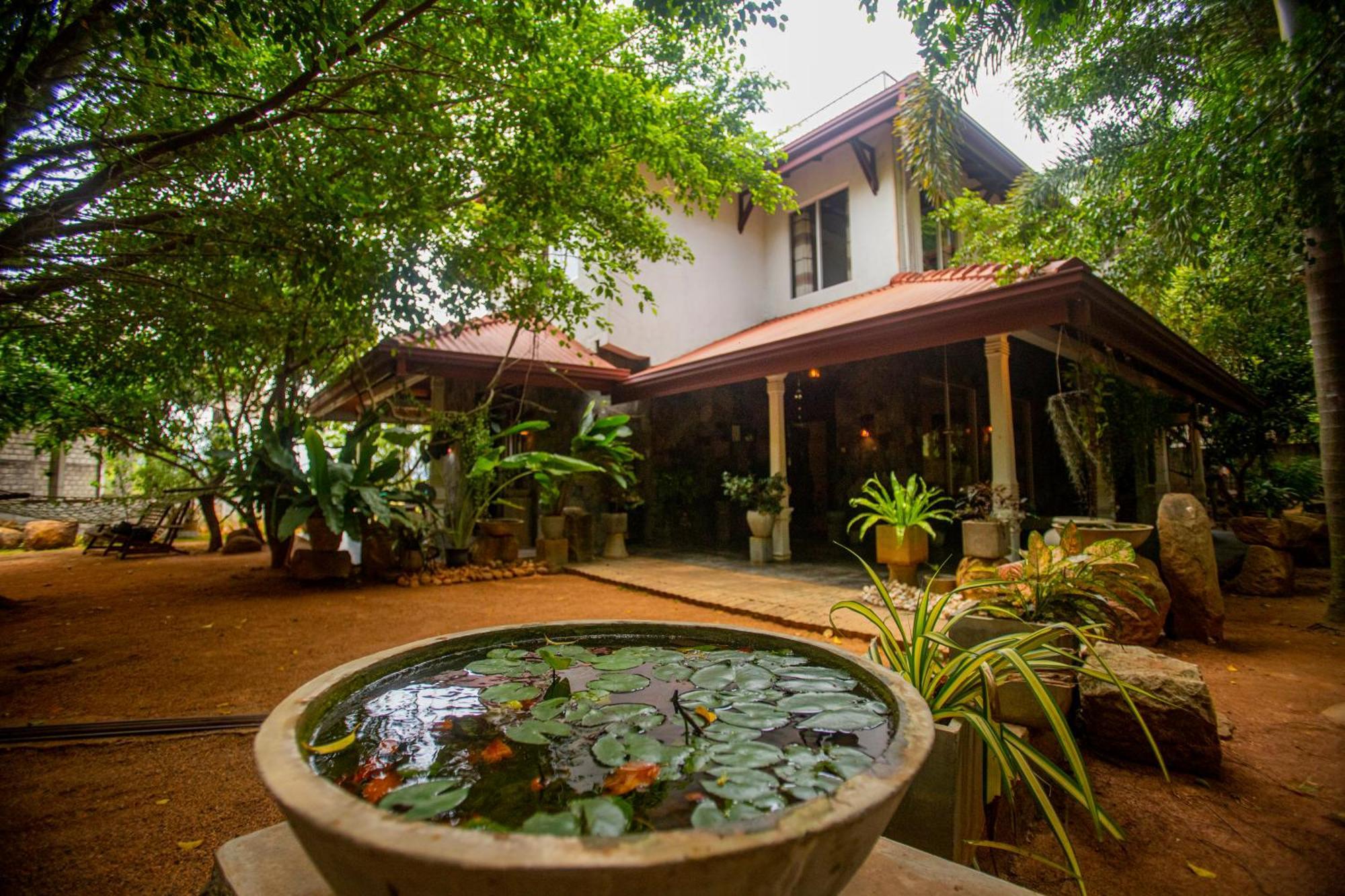 Evergreen Hotel Dambulla Zewnętrze zdjęcie