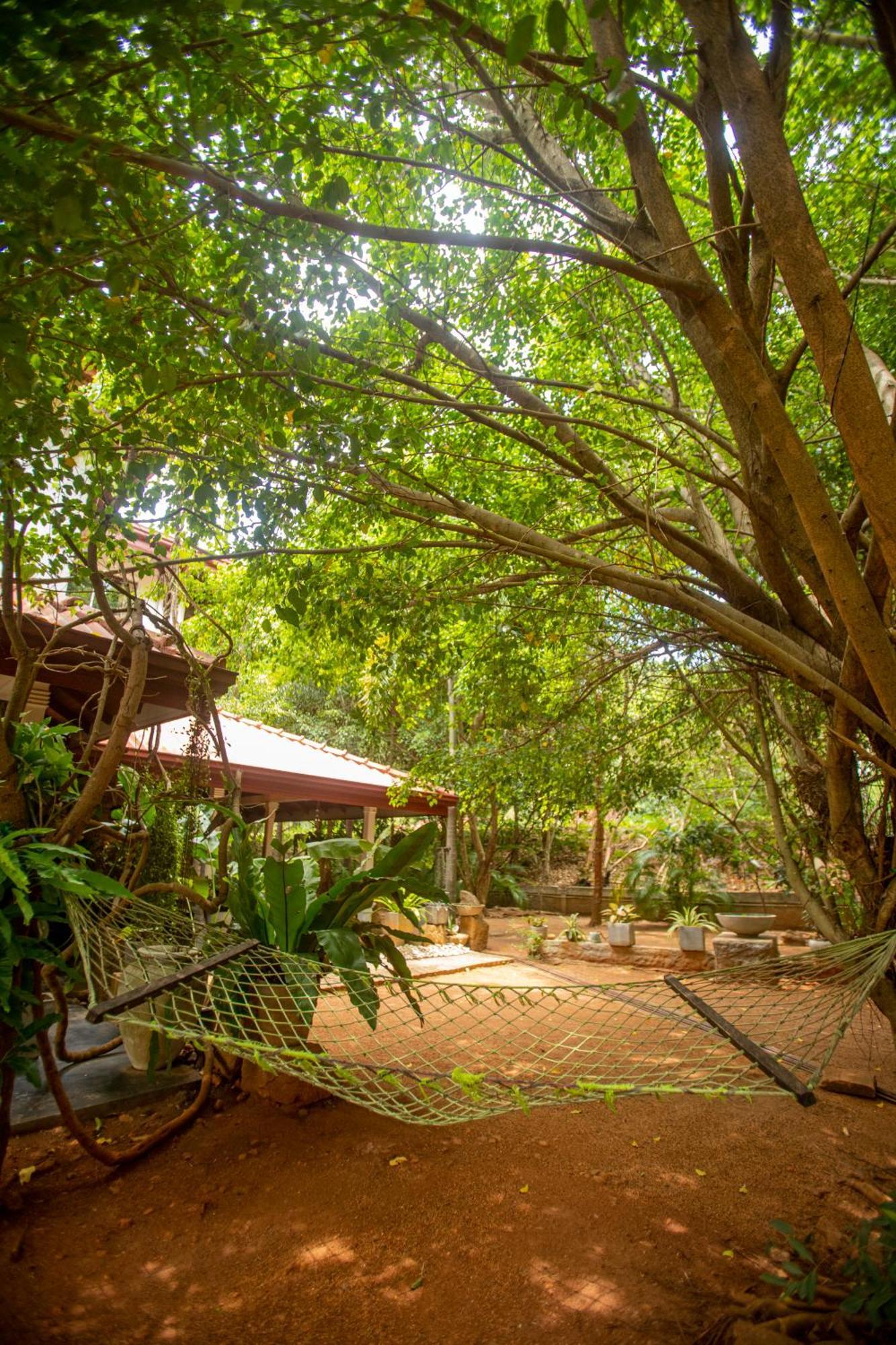 Evergreen Hotel Dambulla Zewnętrze zdjęcie