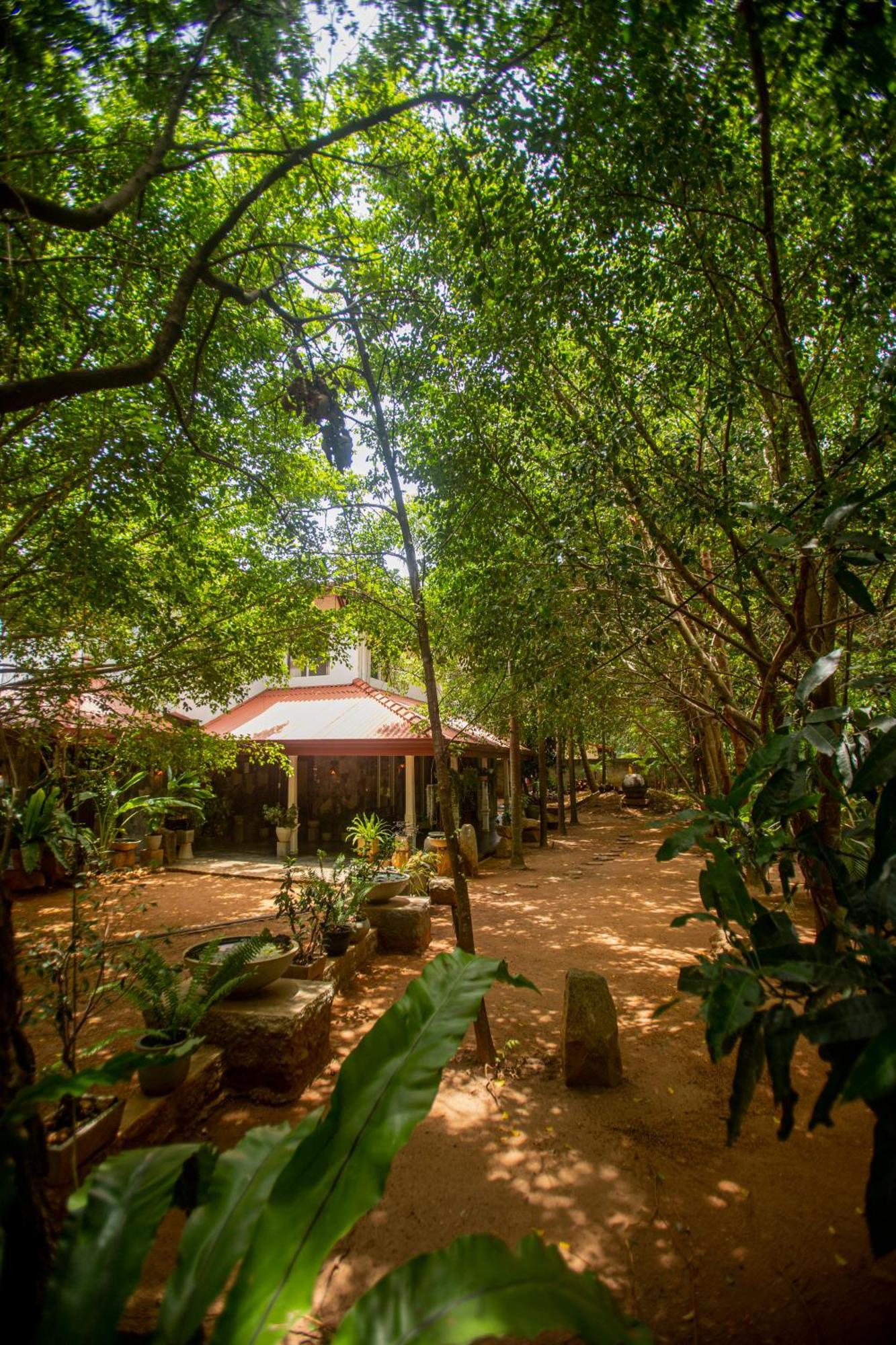 Evergreen Hotel Dambulla Zewnętrze zdjęcie